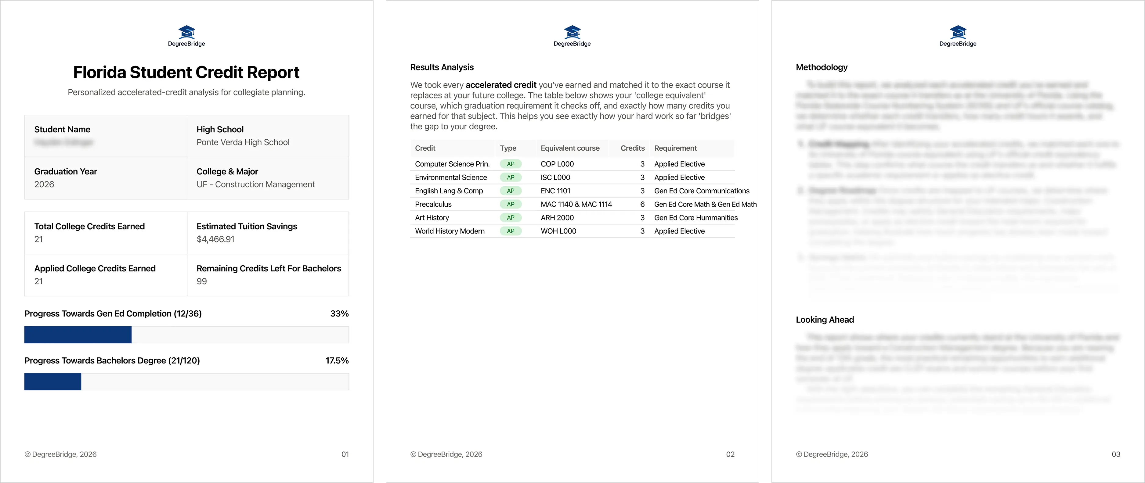 A sample of the credit report